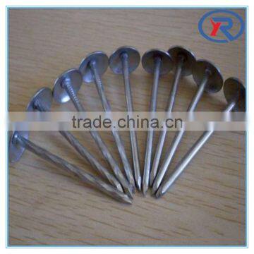 Low Price Stainless Galvanized Concrete Nails photo-3