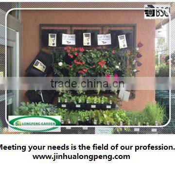 6-pocket Vertical Garden,Living Wall Planters,Living Wall Pots photo-2