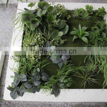 Home Green Wall Cheaper House Use (110X50cm) Vertical Vertical Green Wall photo-2