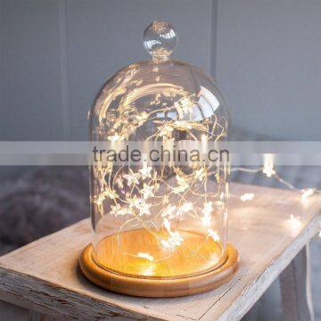 glass jar warm white mini led lights for crafts