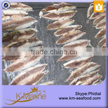 Hot Sale With Dark Meat Mackerel Fillet