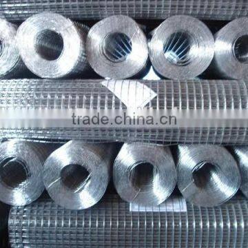 electric galvanized welded wire netting factory price