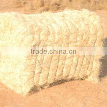 Coconut Fiber photo-2