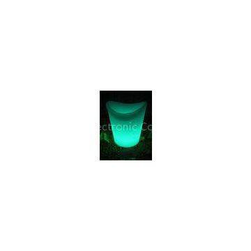 Low Carbon Decorative LED Outdoor and Indoor Garden Lighting RCEW001
