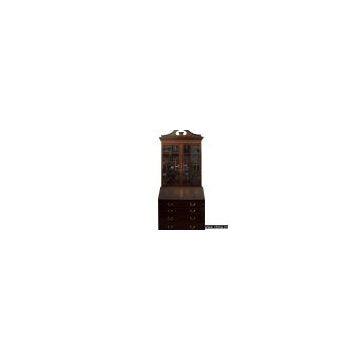 Antiques bookcase