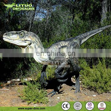 Lifelike Animatronic Velociraptor for sale