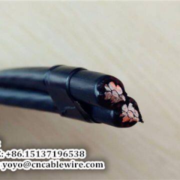 2 Core ABC Cable