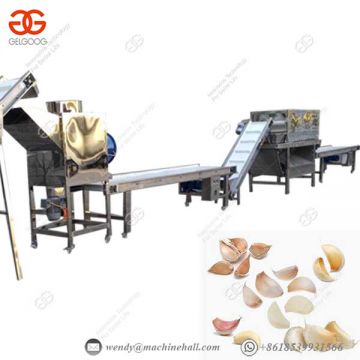 Garlic Peel Remover Commercial Industrial Small Dry Price