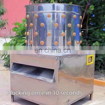 Stainless steel quail feather removal machine industrial automatic pigeon plucker