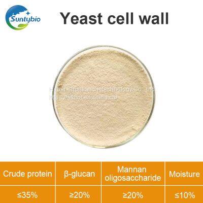 Yeast Cell Wall photo-2