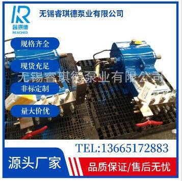 Surface Cleaning Pump,high Pressure Cleaning Pump WP2-S photo-4