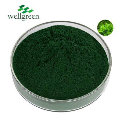 FREE SAMPLE Wellgreen Factory Bulk Spirulina Extract Nature Additive Food Grade Spirulina Powder