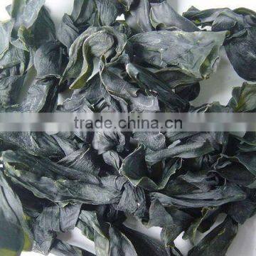 Natural Dried Brown Seaweed Kelp Knot Supplement