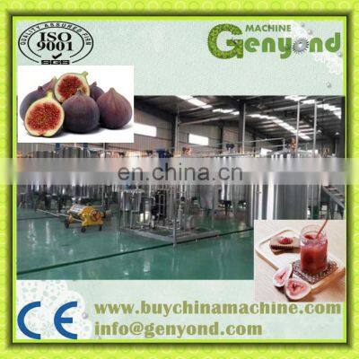 HIGH EFFICIENCY FIG PASTE PROCESSING MACHINE / FIG JAM MAKING MACHINE photo-2