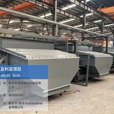 CZG Type Dual Mass Vibrating Feeder