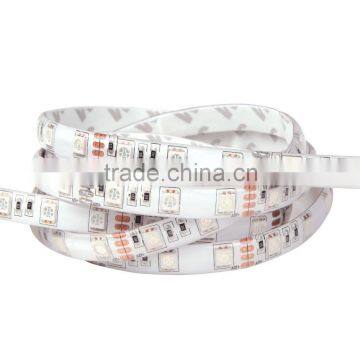 3 Years Warranty High Quality CRI90 RGB/WHITE 5050 led strip light