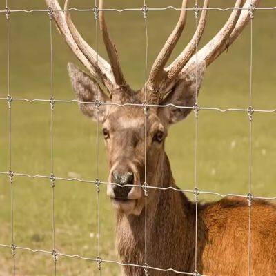 Heavy Duty Deer Enclosure Mesh Garden Fence Animal Barrier Field Wire Mesh Deer Netting