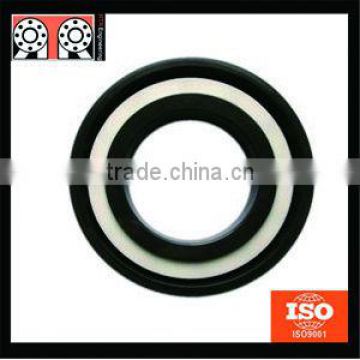 Chinses High Temperature Ceramic Bearing Custom