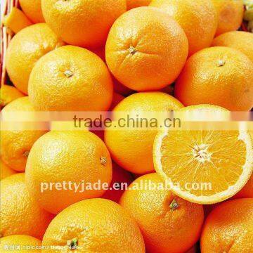 Fresh Navel Orange from chinese