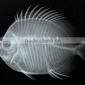 met pet lamination film,film sex hot,3d thermal lamination film, pet metallized thermal lamination films
