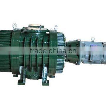 Shanghai Sunny ZJY Series Roots Vacuum Pump/ Top Quality Roots Vacuum Pump/Roots Pump for Sale /Vacuum Pump photo-3
