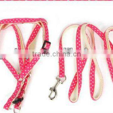 Luxury Pet harness with leash 1cm wide