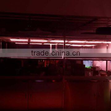 2015 Hight Power 30W Led Grow Light Hydroponics And Aquaponics photo-6