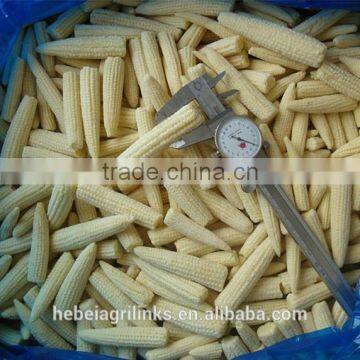 Frozen Style Baby Corn Whole photo-2