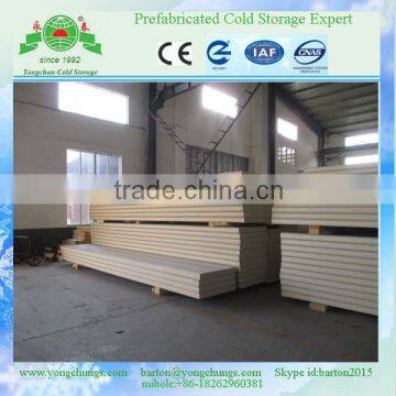 High Density Polyurethane Foam Cold Room Freezer In China