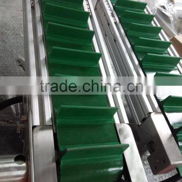 Plastic Belt Lifting Conveyor by Customized photo-3