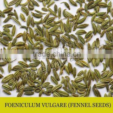 FENNEL SEEDS