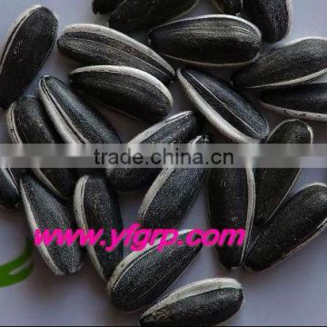 China peeled sunflower seeds