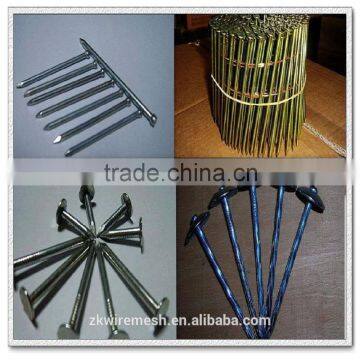 Building Common Wire Nail, Construction Common Nail Iron Nail Factory photo-6