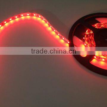 High Brightness1200Lm Single Row 240Leds SMD3528 Led Flexible Strip photo-3