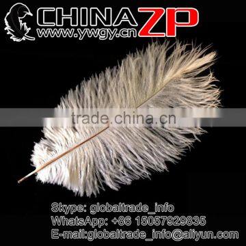 CHINAZP High Quality Factory Wholesale 12inch to 14inch White Ostrich Feather