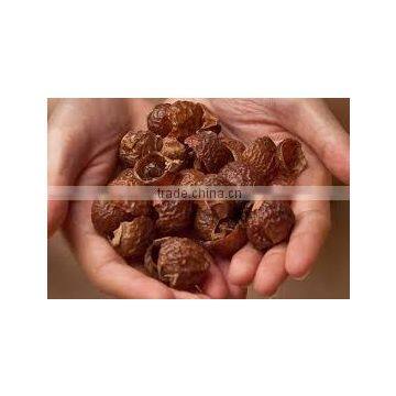 Soapnut/Saponin/Mukorossi Supplier /Exporter From China/Russia/India//Second Grade photo-2