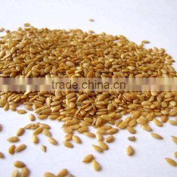 Flax Seeds / Linseeds