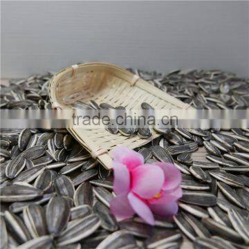 Sunflower Seeds of High Quality photo-3