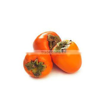 persimmon