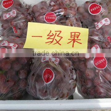 Globe grapes