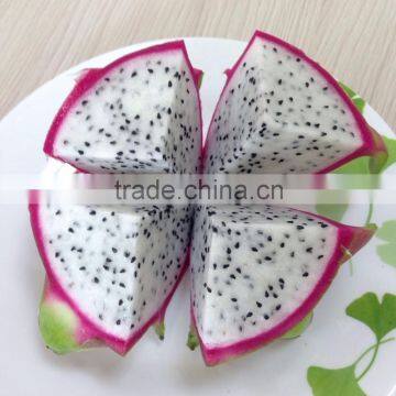 VIETNAM DRAGON FRUIT-WHITE FLESH