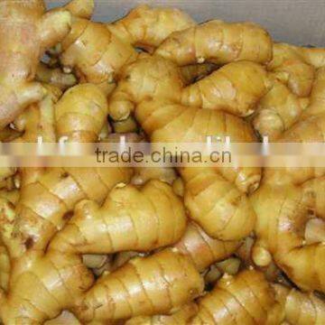 Air dry ginger/dried ginger pieces for sale