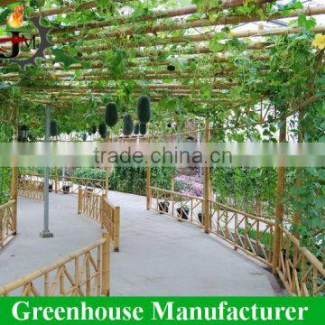 Cheap Commercial Green Houses photo-5