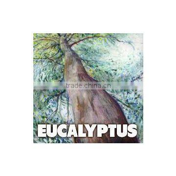 INDIA'S NO. 1 EUCALYPTUS ESSENTIAL OIL FROM KATYANI EXPORTS