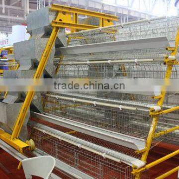 Wire mesh hot galvanized Poultry Cage to Algeria farm