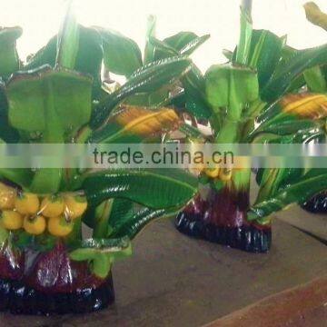 Wood Banana Tree photo-3