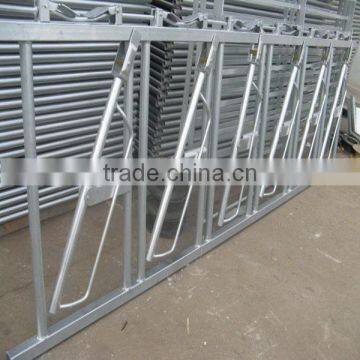 Galvanized dairy cow farm equipment for head locks