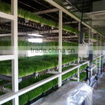 BK Conveyor Culture photo-4