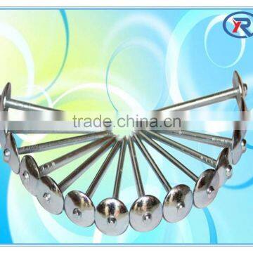 Cheap Price BWG12X2" Umbrella Head Roofing Nails With Plain Shank and Washer photo-4