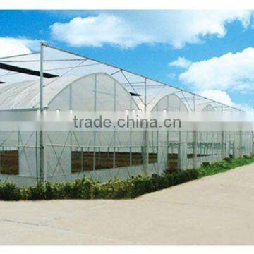 China Chengdu Low Cost Baolida Polythene Greenhouse PE Film Greenhouse photo-3